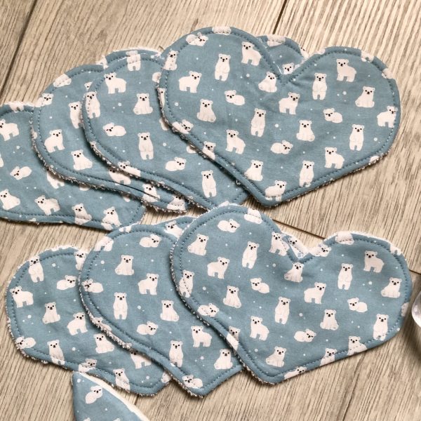 Petits ours polaires